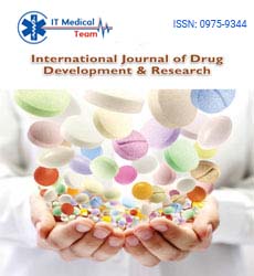 It Medical Team Journals