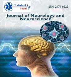 It Medical Team Journals