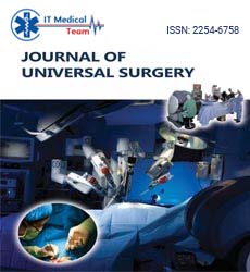 It Medical Team Journals