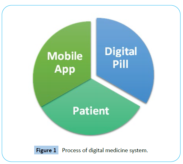 archivesofmedicine-information-components