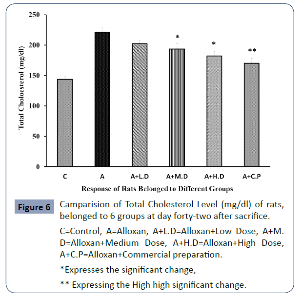 health-science-journal-Cholesterol