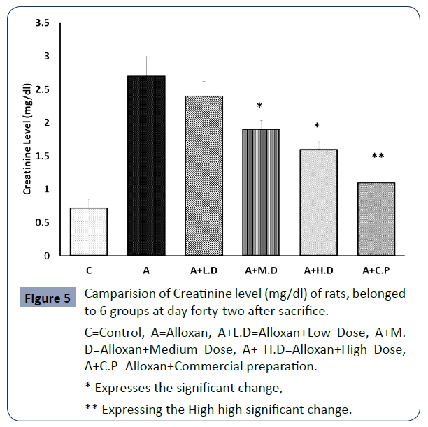 health-science-journal-Creatinine