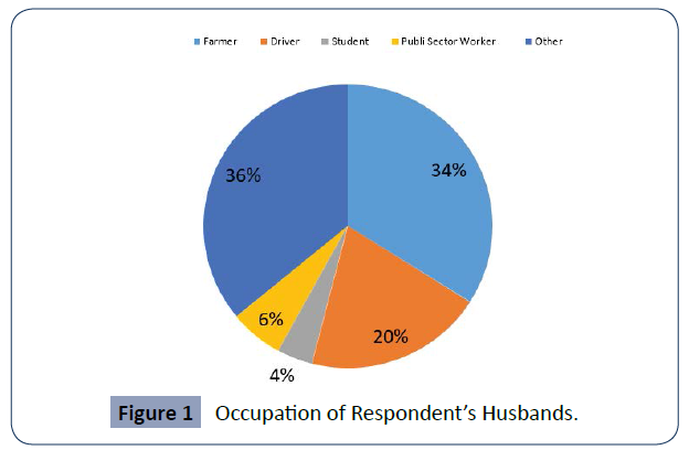 health-science-journal-Occupation