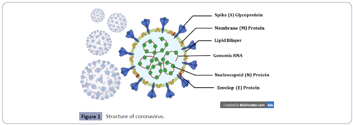 health-science-journal-Structure