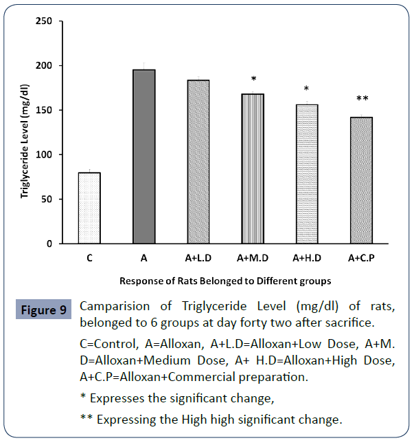 health-science-journal-Triglyceride