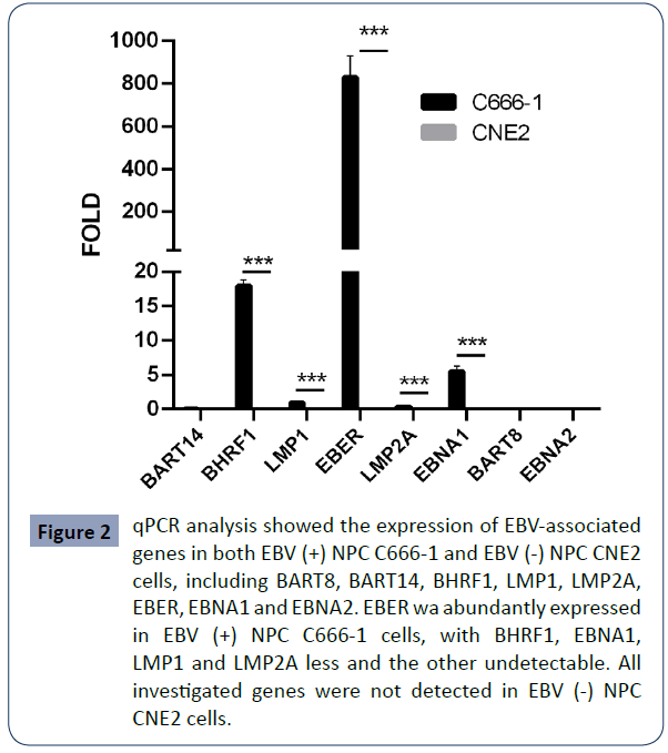 health-science-journal-expression