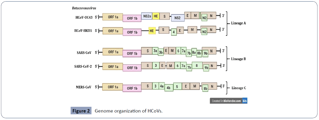 health-science-journal-organization