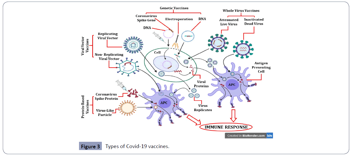 health-science-journal-vaccines