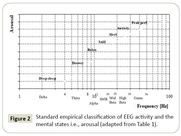 jneuro-empirical-classification