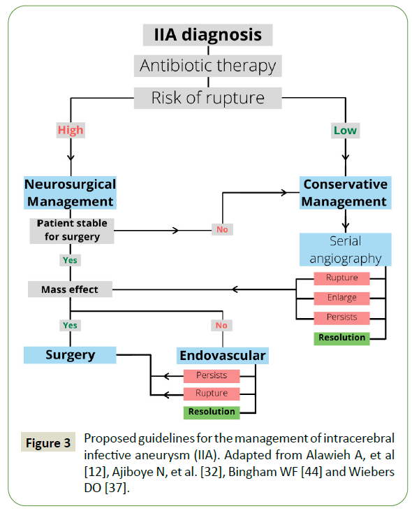 jneuro-intracerebral-infective