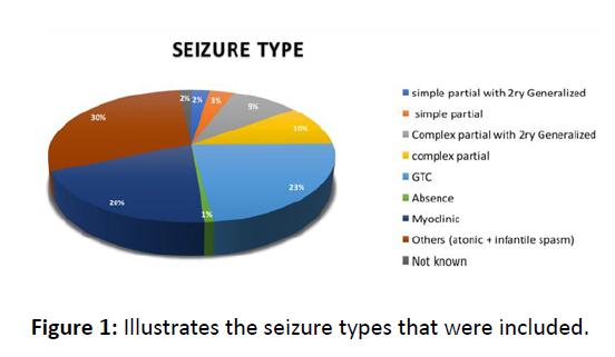 jneuro-seizure-types