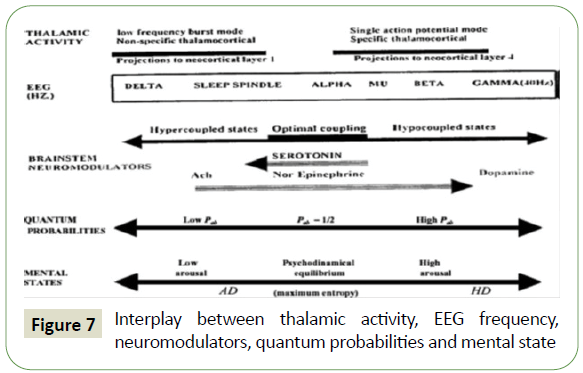 jneuro-thalamic-activity