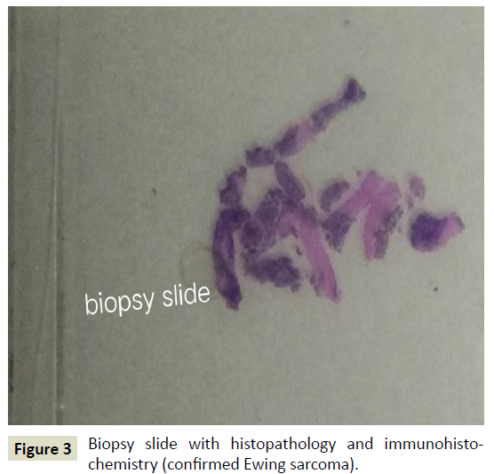 neurology-neuroscience-histopathology