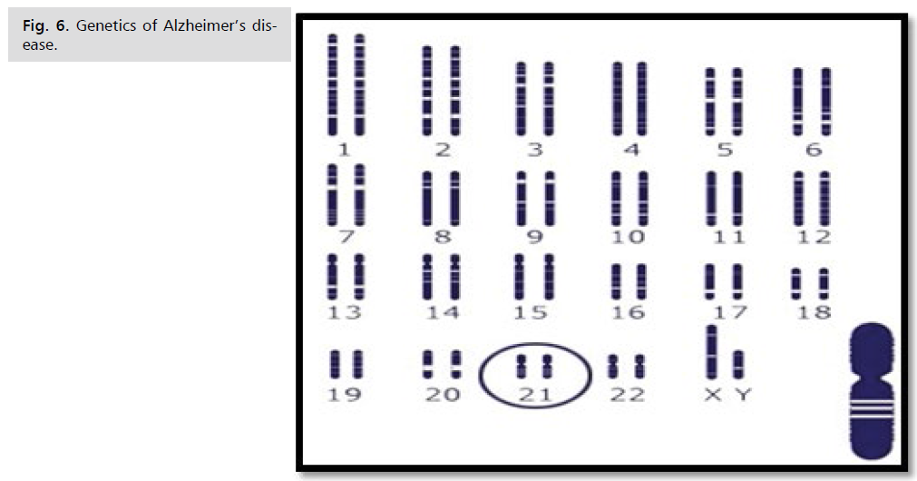 jneuro-genetics