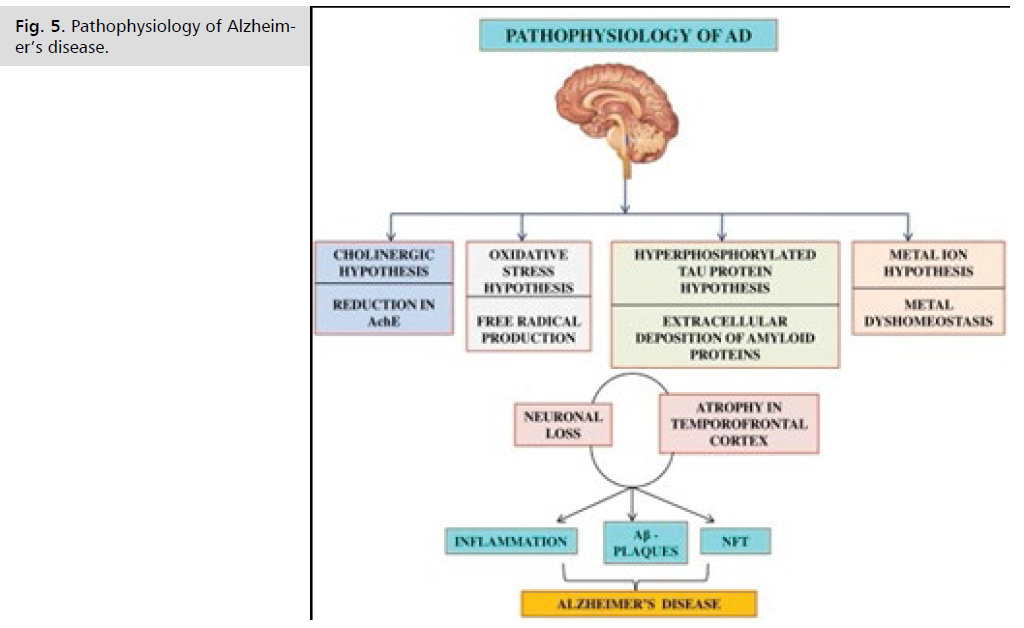 jneuro-pathophysiology