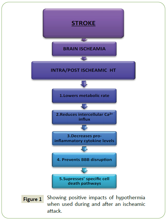 neurology-neuroscience-disability-hypothermia