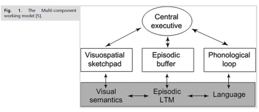 neurology-neuroscience-multi-component