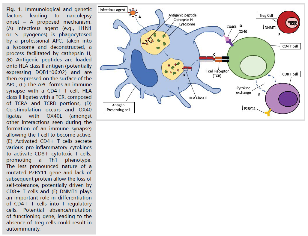 neurology-neuroscience-regulatory