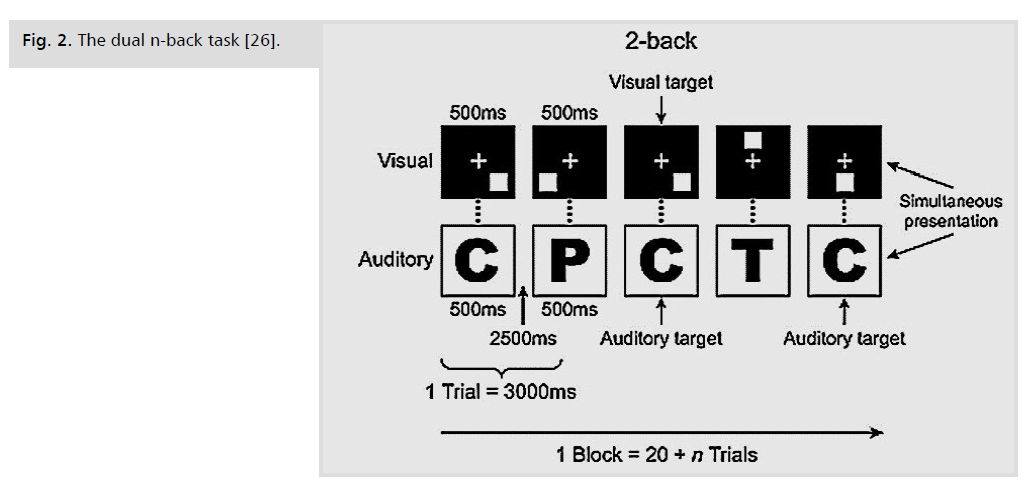 neurology-neuroscience-task