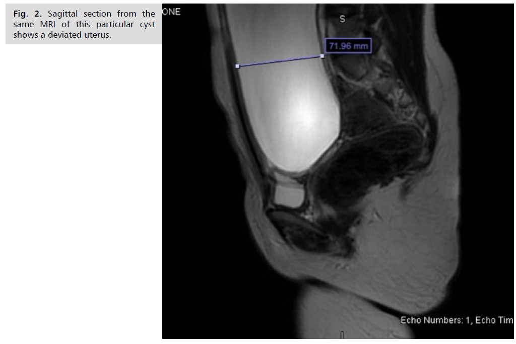 archives-medicine-sagittal-section