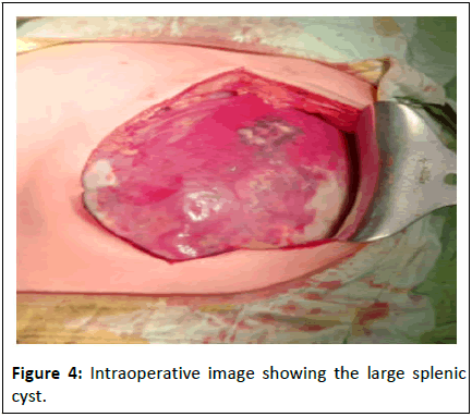 Universal-Surgery