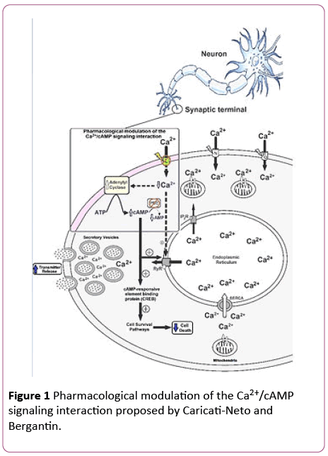 Annals-Clinical-Laboratory-Caricati-Neto