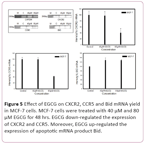 Annals-Clinical-Laboratory-Effect-EGCG