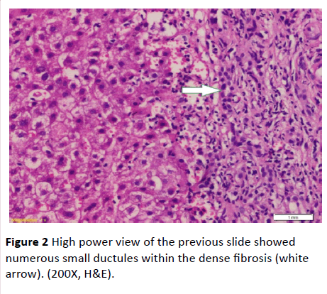 Annals-Clinical-Laboratory-High-power-view