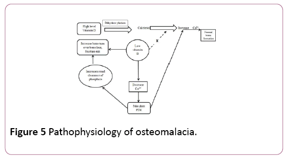 Annals-Clinical-Laboratory-Pathophysiology-osteomalacia