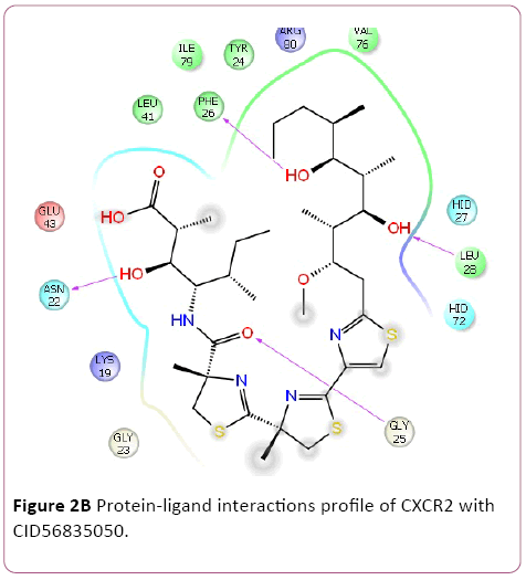 Annals-Clinical-Laboratory-Protein-ligand