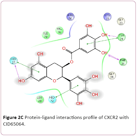 Annals-Clinical-Laboratory-Protein-ligand