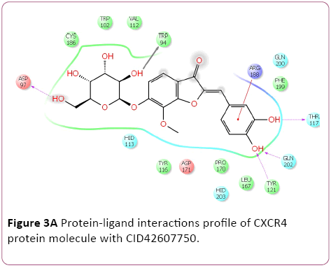 Annals-Clinical-Laboratory-Protein-ligand-interactions