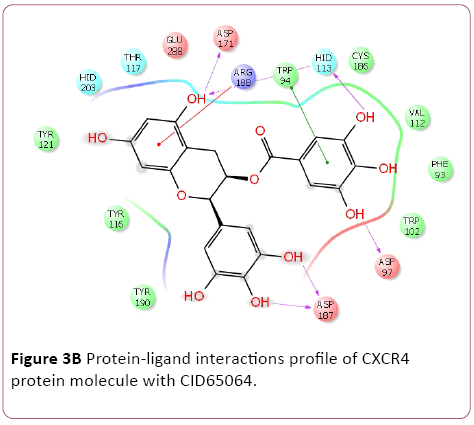 Annals-Clinical-Laboratory-Protein-ligand-interactions