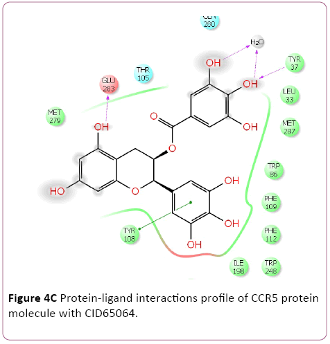 Annals-Clinical-Laboratory-Protein-ligand-interactions