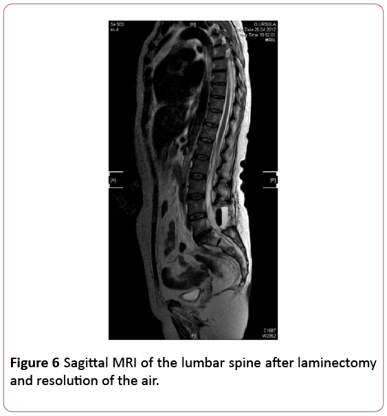 Annals-Clinical-Laboratory-Sagittal-MRI