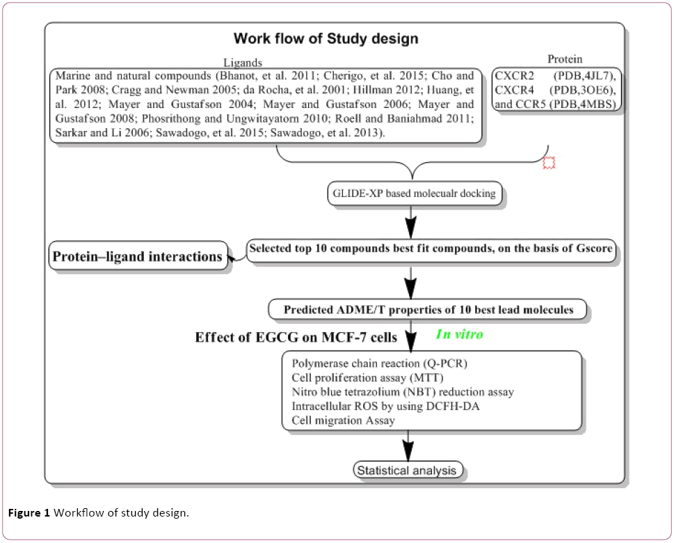 Annals-Clinical-Laboratory-Workflow-study