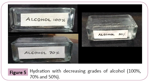 Annals-Clinical-Laboratory-grades-alcohol