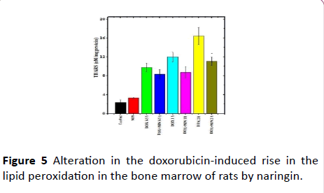 Annals-Clinical-Laboratory-marrow-rats