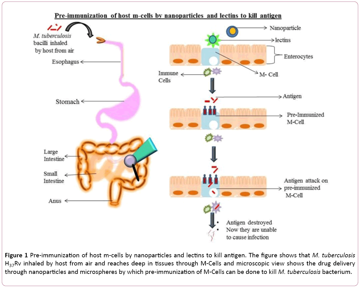 Annals-Clinical-Laboratory-nanoparticles-lectins