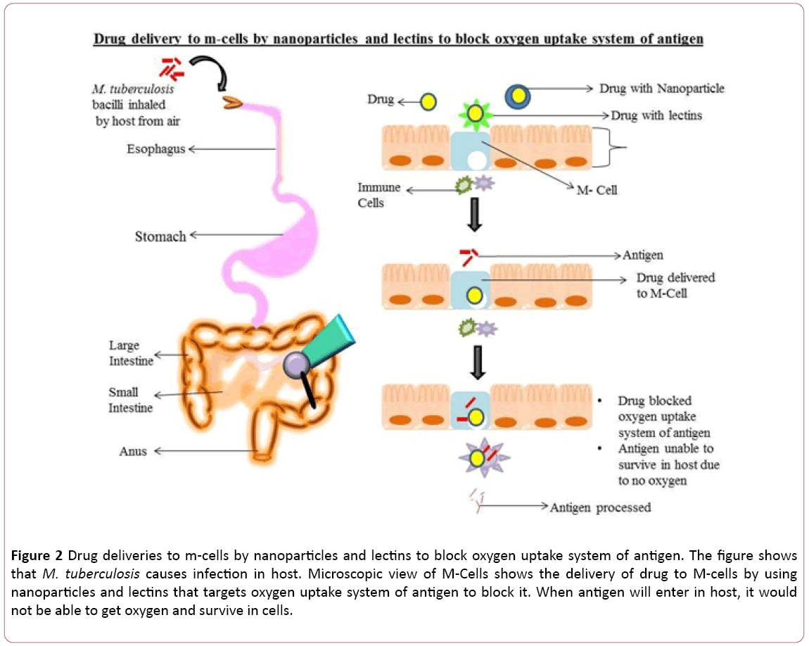 Annals-Clinical-Laboratory-nanoparticles-lectins