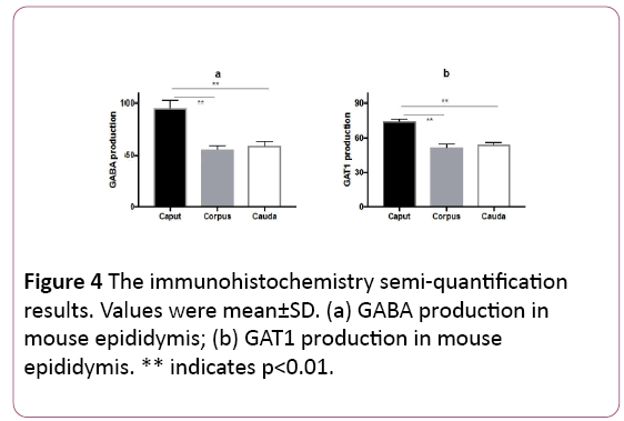 Annals-Clinical-Laboratory-semi-quantification