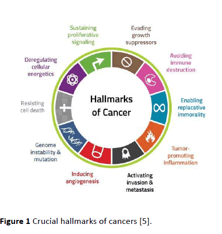 Archives-Cancer-Research-Crucial-hallmarks