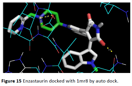 Archives-Cancer-Research-Enzastaurin-docked