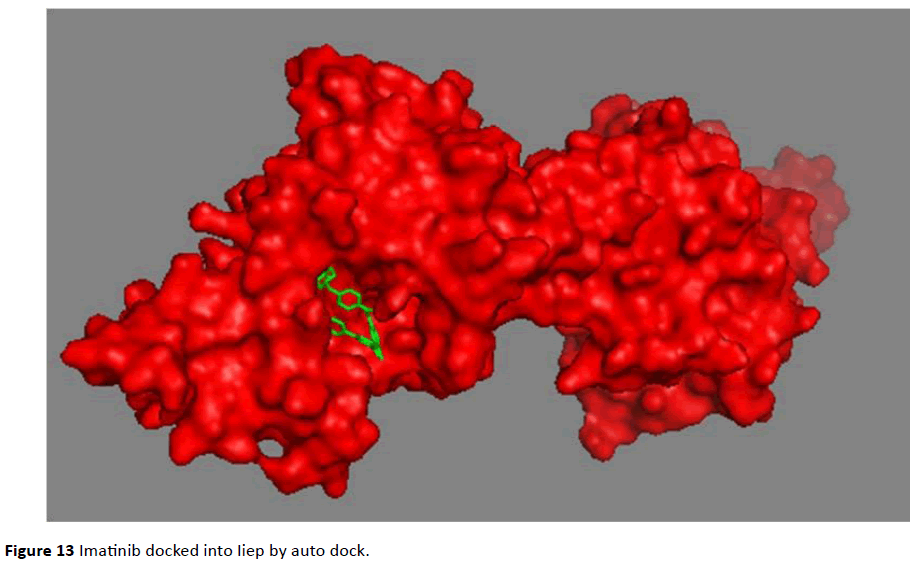 Archives-Cancer-Research-Imatinib-docked