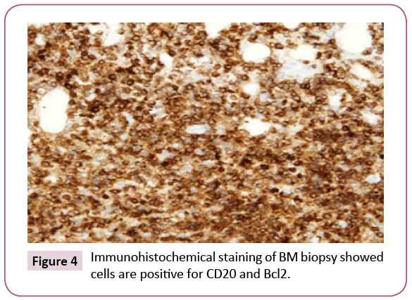 Archives-Cancer-Research-Immunohistochemical-staining