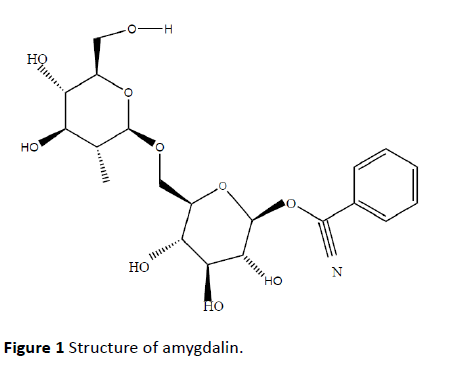 Archives-Cancer-Research-Structure-amygdalin