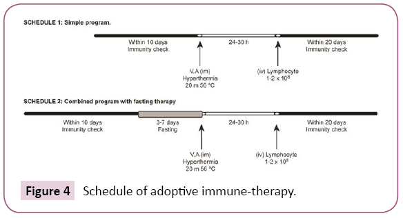 Archives-Cancer-Research-adoptive-immune