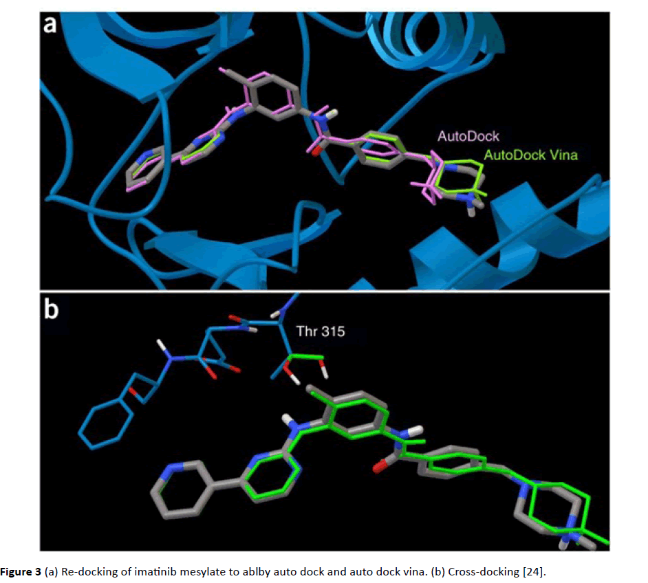 Archives-Cancer-Research-imatinib-mesylate