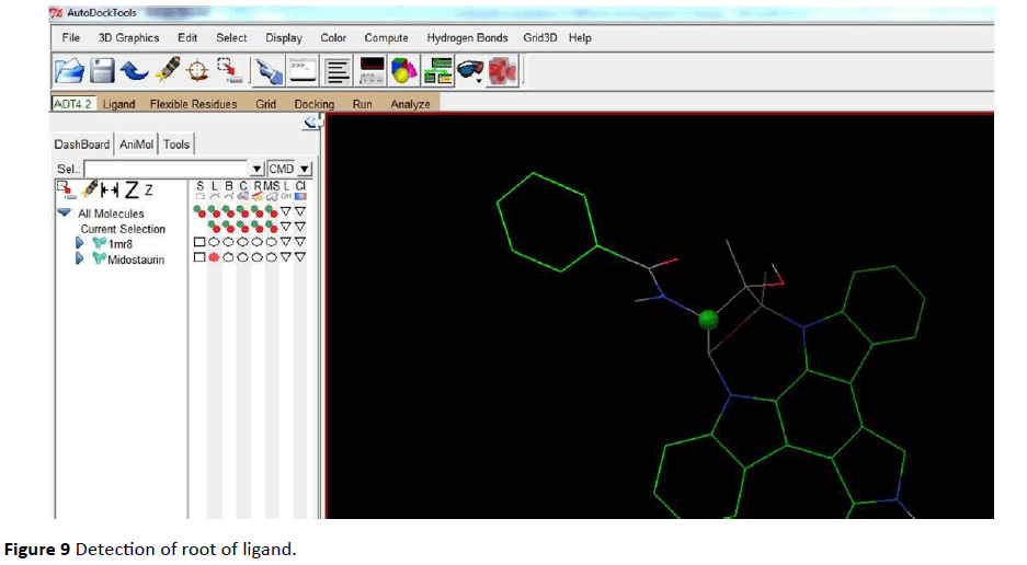 Archives-Cancer-Research-root-ligand