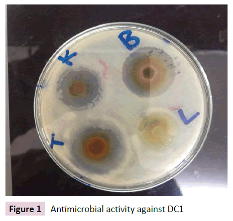 Archives-Clinical-Microbiology-Antimicrobial-activity